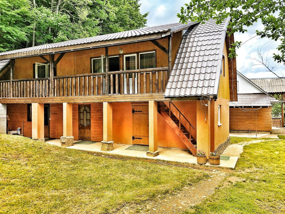 格拉克山林小屋 艾兹基 外观 照片