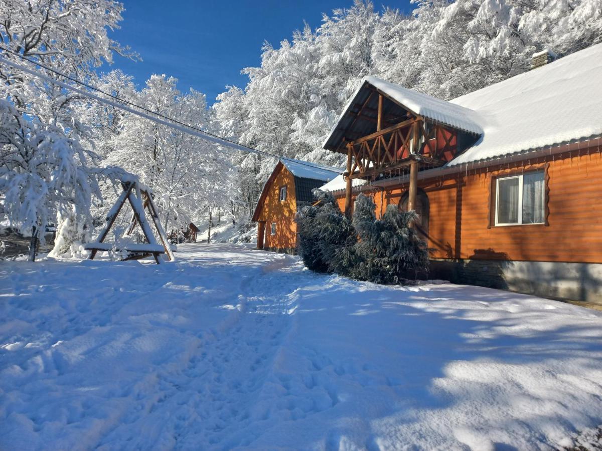 格拉克山林小屋 艾兹基 外观 照片