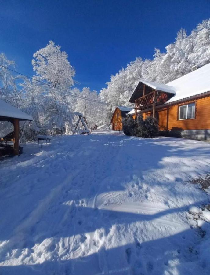 格拉克山林小屋 艾兹基 外观 照片