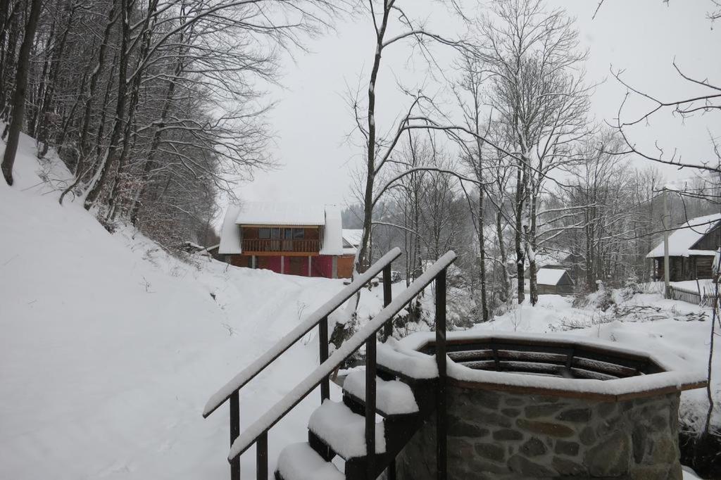 格拉克山林小屋 艾兹基 外观 照片